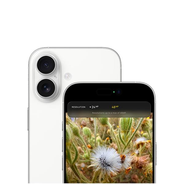 iPhone 17 9 Frame.jpg